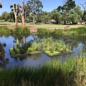 Picture of Floating Wetlands