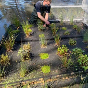 Picture of Floating Wetlands