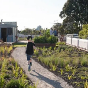 Picture of Roof Gardens