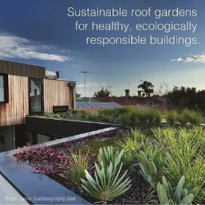 Picture of Roof Gardens