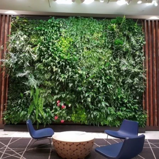 Picture of Green Walls