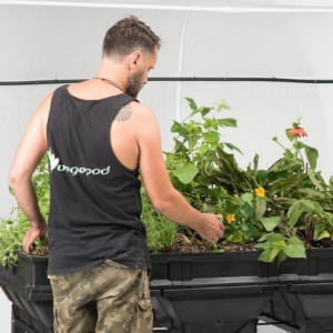 Picture of Large Vegepod with Cover and Stand 2m x 1m